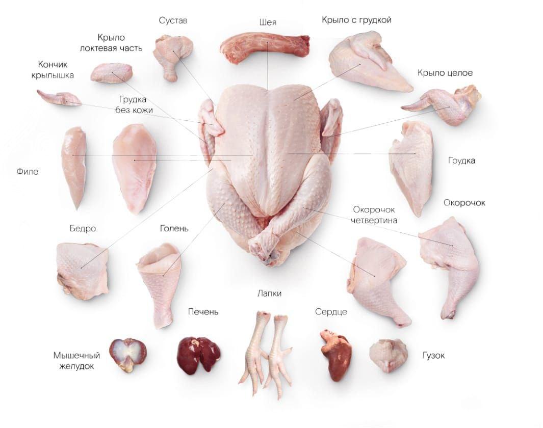Характеристики и описание мяса индейки — ООО 